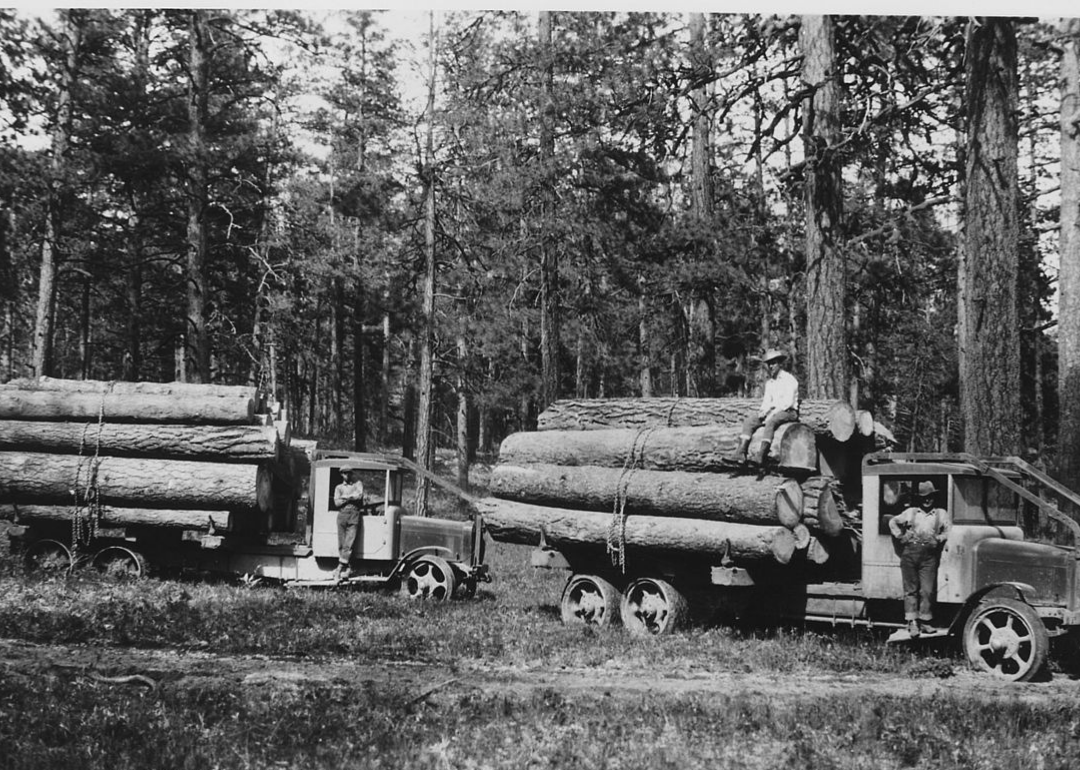 #40. Lumberman, raftsmen, and woodchoppers